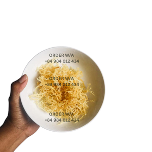 Musgo de mar irlandés de grado Superior 100% Natural Wildcrafted tostado seco a un precio razonable preparado para envío 2024 - Product Image 4