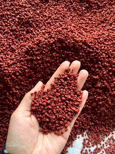 Graines d'Annatto rouges naturelles brutes séchées en vrac Bixa Orellana à vendre fournisseur vietnamien-Caryln 0084935825297 - Product Image 2