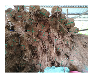 Vietnamese Origin Full Dried Coconut <b>Broom</b> Stick with <b>Dustpan</b> Head Indoor/Outdoor Usage 25kg Packed - Product Image 1