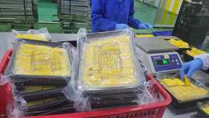 MAÏS SUCRÉ CONGELÉ IQF: JAUNE ROI, PRIX BON MARCHÉ, VENTE EN GROS DE L'USINE VIETNAM. - Product Image 3