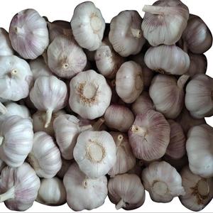 Acheter directement de l'usine 100% Ail blanc frais biologique naturel de légumes lililiacés 25kg 24 mois de durée de conservation livraison rapide - Product Image 4