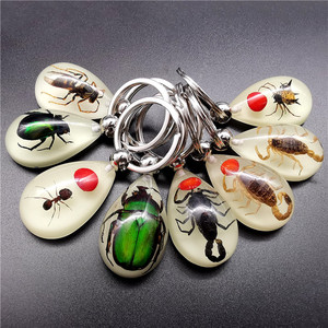 Porte-clés en résine luminescente en forme de goutte d'eau avec insectes, fourmis, scorpions, porte-clés pour garçons, tendance <span class=keywords><strong>2023</strong></span> - Product Image 2