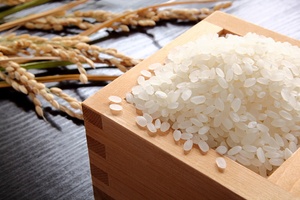 Sabrosa Mejor Tarifa Oferta Especial Calidad Estándar Internacional Grano JAPONICA ARROZ 5kg - Product Image 4