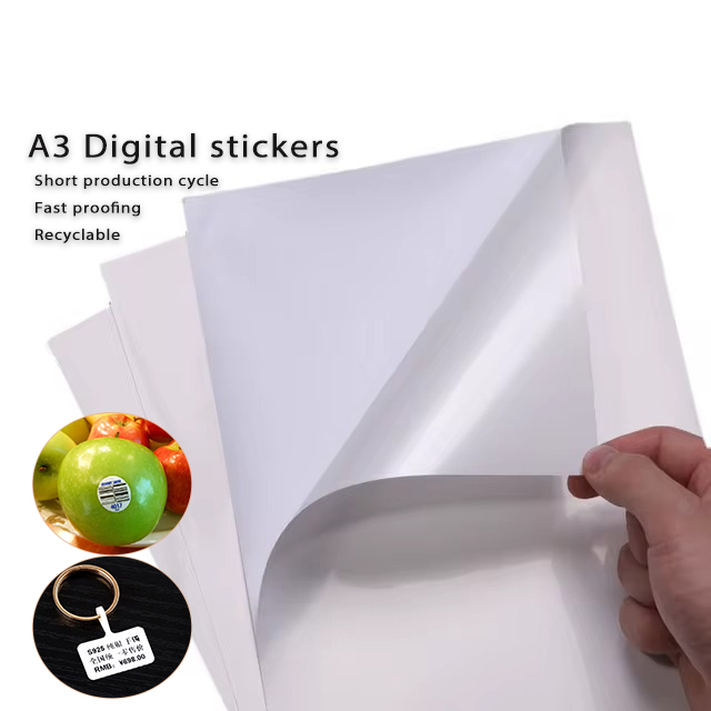 Anti-static A3 65um Blank Label Sticker Self-adhesive Pp Pet Digital Printing Single Sided Material Water Activated Acrylic