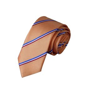 Cravate drapeau hollandais rayé orange bleu blanc rouge Accessoires pour hommes - Product Image 1