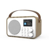 DB-336 DAB + Radio Diigital dengan FM dan layar warna dengan baterai Lithium