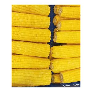 Maíz Amarillo No Transgénico de Primera Calidad al por Mayor, Seco y Limpiado, Grado de Consumo Humano para Cereales, Refrigerios, Elaboración de Cerveza y Ganadería - Product Image 2