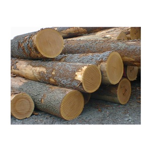 Fresh Oak Round <b>Logs</b> White Oak Red Oak Hardwood Timber for Industrial Lumber Production - Product Image 4