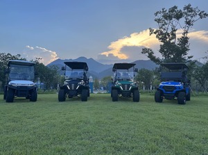 รถกอล์ฟไฟฟ้า 72v ใหม่ 6 ที่นั่ง รถบักกี้กอล์ฟ แบตเตอรี่ลิเธียม รถ UTV 4x4 ใช้แก๊ส วิทยุ DAB รถคลับคาร์ ยานยนต์ใช้แก๊ส - Product Image 5