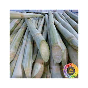 Palitos de caña de azúcar congelados limpios, dulces y convenientes envasados al vacío para uso de exportación en bebidas y preparación culinaria - Product Image 6