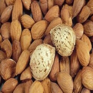 Amandes grillées croquantes entières en coque, riches en arômes, grillées à sec, qualité supérieure, pour la vente en gros et les collations - Product Image 1