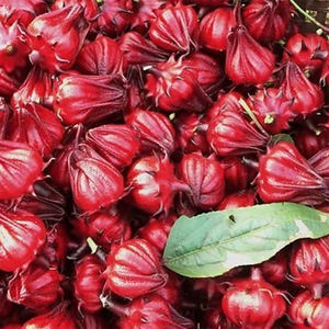 Flor de alcachofa en Vietnam de alta calidad - Product Image 6