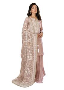 Pakistanais et indiens robe chaude concepteur pakistanais indien fête porter mariage femmes robes nouveautés 2025 - Product Image 5