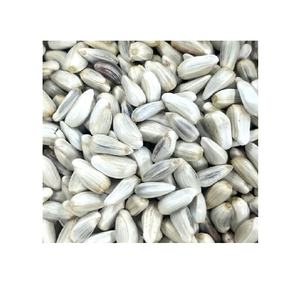 Graines de carthame de haute qualité d'origine américaine pour l'exportation en vrac, durée de conservation de 1 an, pour l'alimentation des animaux et des oiseaux, prix compétitifs - Product Image 6