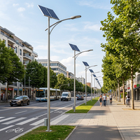 Lampadaire Solaire LED à Panneau Monocristallin, Poteau en Acier Q235, Indice de Protection IP66, Angle Réglable, Contrôle par Capteur, Utilisation Routière