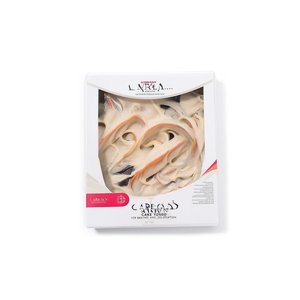 Outils de pâtisserie LARES Caro Backrahmen pour la cuisson et la décoration - Product Image 3