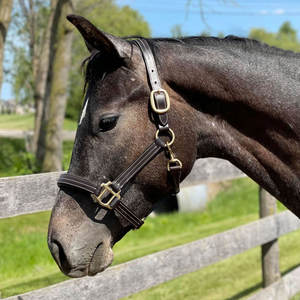 Halter acolchado con cierre a presión Halter acolchado suave con cierre a presión y costuras en contraste - Product Image 1