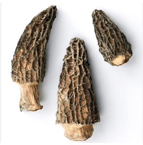 Meilleur Prix Champignons Morel Séchés Sauvages Vente Chaude Alimentaire Dense Livraison Rapide En Gros à Vendre - Product Image 6