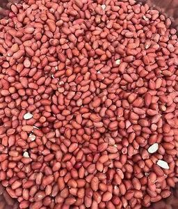 Cacahuetes Chinos Naturales Tostados y Secos con Cáscara, Grado Superior, 25 kg, Envasados al Vacío, a Granel, Listos para Tostar, Snack Salado, Extracción de Aceite, Global - Product Image 6