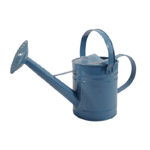 Arrosoir en métal fait à la main forme personnalisée concepteur arrosoir gris enduit de poudre conception en relief vente en gros de canne à eau en métal - Product Image 4