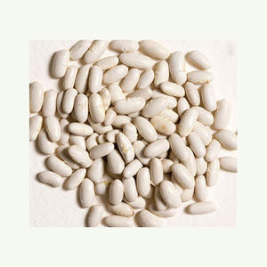 ถั่วไตขาวอบแห้งน้ำตาลไตธรรมชาติธรรมชาติเกรดสูง - Product Image 5