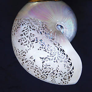 Para Nautilus estilo tallado arte SEASHELL JOYERÍA Madre de perla Motivo de concha marina Estilo animal crudo - Product Image 2