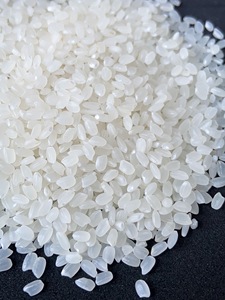 Calrose Arroz de Grano Corto Japonés Arroz Mr.Brian + 84 796855283 Nueva Cosecha Marzo 2025 - Product Image 4