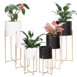 Mid Century Modern wholesale best beautiful product Floor Standing 6 Pcs Gold Metal Foldable Plant Stands Set For Indoor Plants