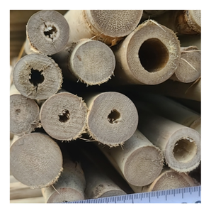 Bâtons de bambou fendus, bambou coupé en deux, traité à partir de bambou mature, pour l'artisanat, l'agriculture et l'usage en jardin - Product Image 2