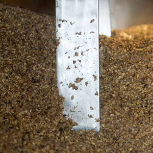 Résidus de brassage de bière biologique du Vietnam, un matériau d'alimentation de première qualité offrant la meilleure nutrition pour le bétail - Product Image 2