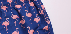 New Pattern Summer Stylish Beach Outdoor Activities Men Short <b>Swim</b> Trunk - Product Image 5