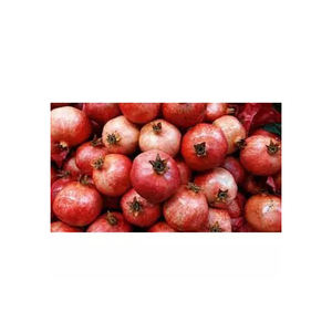 Granada fresca de granja, fruta limpia y jugosa para mayoristas internacionales, supermercados y pedidos de distribución a granel - Product Image 4