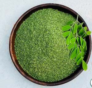 Extrait de plantes de feuilles de Moringa coupées en T provenant directement de l'Inde - Product Image 2