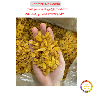 Khô Nho Vàng Nho Khô Cao Cấp Không Hạt Trái Cây Sấy Khô Từ Việt Nam Bán Buôn Tự Nhiên Ngọt Ngào Nhiệt đới Snack Cung Cấp - Product Image 6