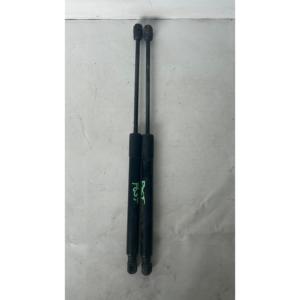 Pistoni Cofano Posteriore FIAT 500 X Serie 956976 (15>) - Product Image 1
