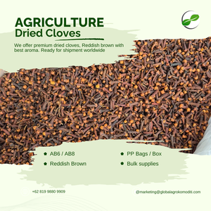 Sulawesi indonésien de qualité supérieure clous de girofle crus séchés brun rougeâtre épices entières pour les marchés mondiaux exportation polyvalente - Product Image 2