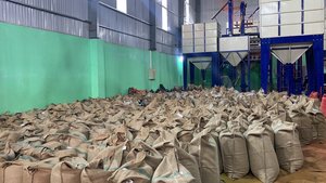 เมล็ดกาแฟคั่วอาราบิก้าเวียดนามกาแฟบดสีเขียว - Product Image 6