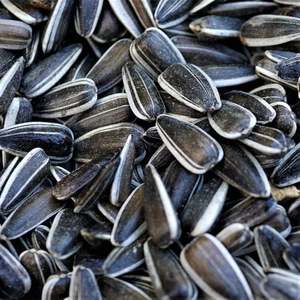 เมล็ดทานตะวันออร์แกนิกเกรดสูงสำหรับการบริโภคของมนุษย์ - Product Image 1