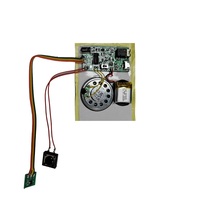 Module d'enregistrement sonore rechargeable par batterie avec entrée AUX, longue durée d'enregistrement, déclenché par un bouton-poussoir, capteur magnétique, capteur de lumière