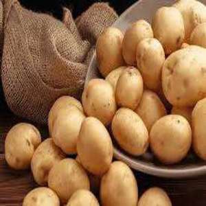 Nouvelle récolte de pommes de terre biologiques sucrées et fraîches, rondes, à peau jaune, en vrac, provenant directement de l'usine thaïlandaise pour les services de restauration - Product Image 4