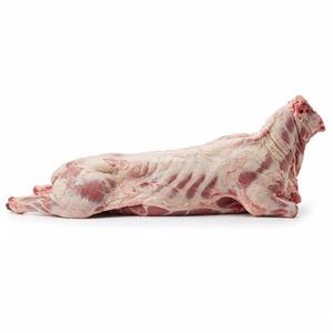Offre spéciale Carcasse d'agneau pleine congelée Fourniture en gros Viande congelée de qualité supérieure prête à l'exportation avec expédition rapide et conditions flexibles - Product Image 2