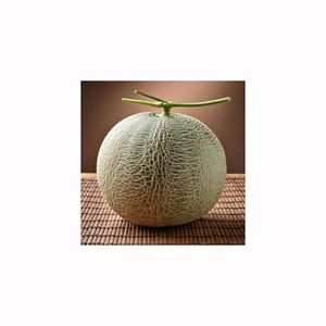 Farm <b>fresh</b> musk <b>melon</b> premium sweet juicy fragrant fruit bulk wholesale export natural tropical harvest - Product Image 5