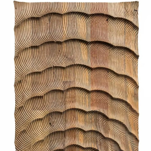 ไม้มะม่วงแกะสลักตกแต่งผนังเป็นคลื่นแผงพื้นผิวลายคลื่นดีไซน์แบบนามธรรมสมัยใหม่รูปปั้นไม้ตกแต่งบ้านหรูหรา - Product Image 1