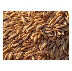 Grains d'avoine séchés biologiques à vendre - Product Image 1