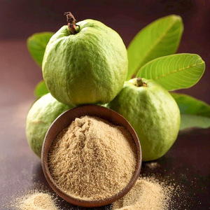 Poudre de goyave naturelle pure d'excellente qualité en gros poudre de fruit de goyave du Vietnam pour l'exportation - Product Image 1
