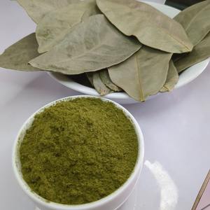 Poudre de feuilles de corossol biologique en gros poudre à base de plantes de feuilles de graviola exportées du Vietnam - Product Image 6