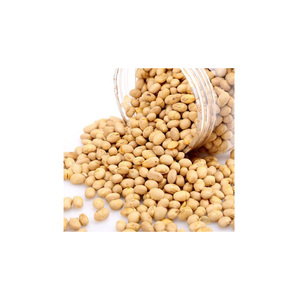 Harina de soja de alta proteína para alimentación animal, harina de soja a granel sin OGM, perfecta como proteína aditiva - Product Image 5