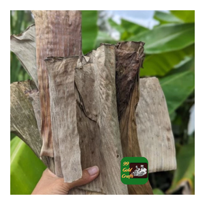 FEUILLES DE BANANE SÉCHÉES PRODUIT NATUREL DU VIETNAM POUR L'EMBALLAGE ALIMENTAIRE ET L'ARTISANAT EXPORTATION - Product Image 6