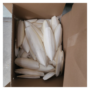 Aumente la ingesta de calcio para mascotas con hueso de sepia limpio y seguro, sin productos químicos, sin aditivos, solo bondad marina pura para uso diario - Product Image 2