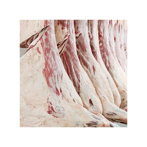 ซากเนื้อวัวแช่แข็ง - Product Image 1